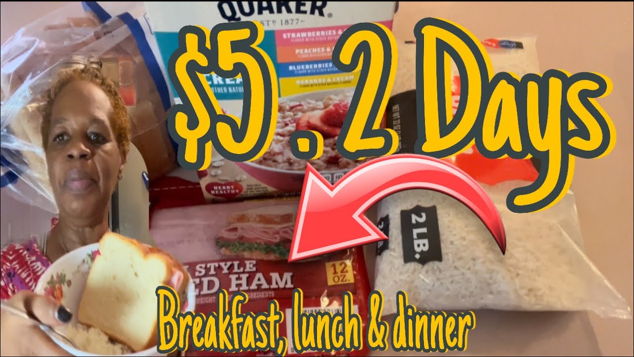 I Fed My Family 3 Meals A Day for 2 Days on $5 (Got Free Lunch Meat!! ) 