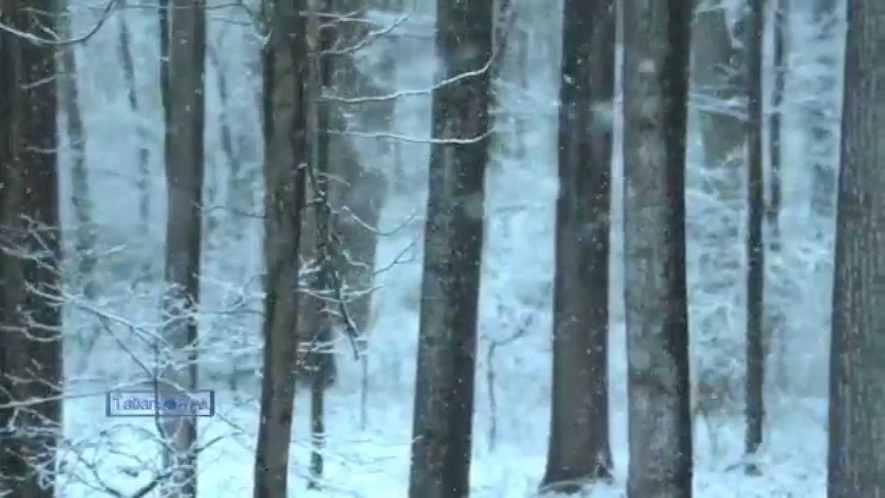 Winter Feelings... - music Igor Dvurechensky