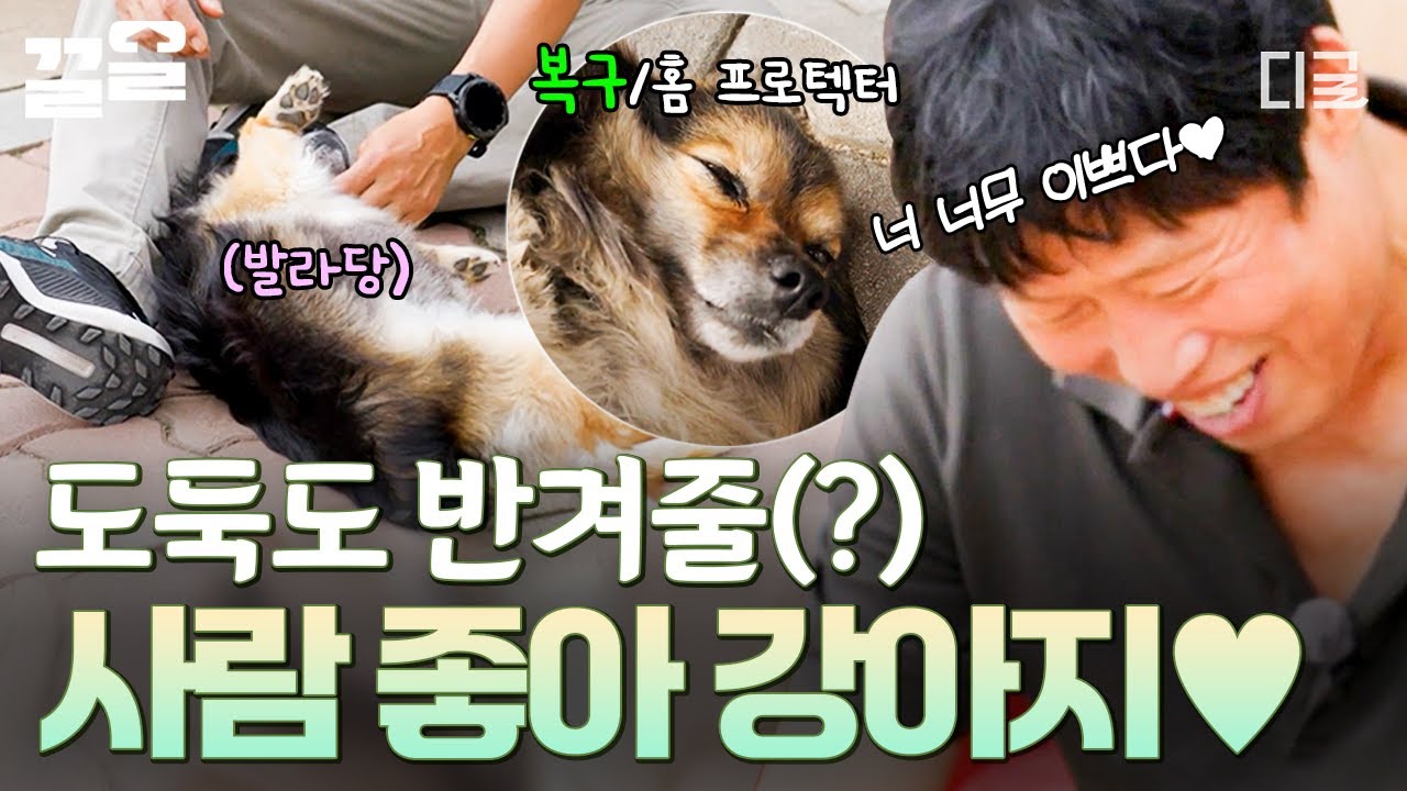 [#삼시세끼Light] 복구야, 이렇게 귀여워도 되는 거야?💛 첫 만남부터 꼬리펠러 풀가동! 세끼하우스의 사랑스러운 집주인 복구