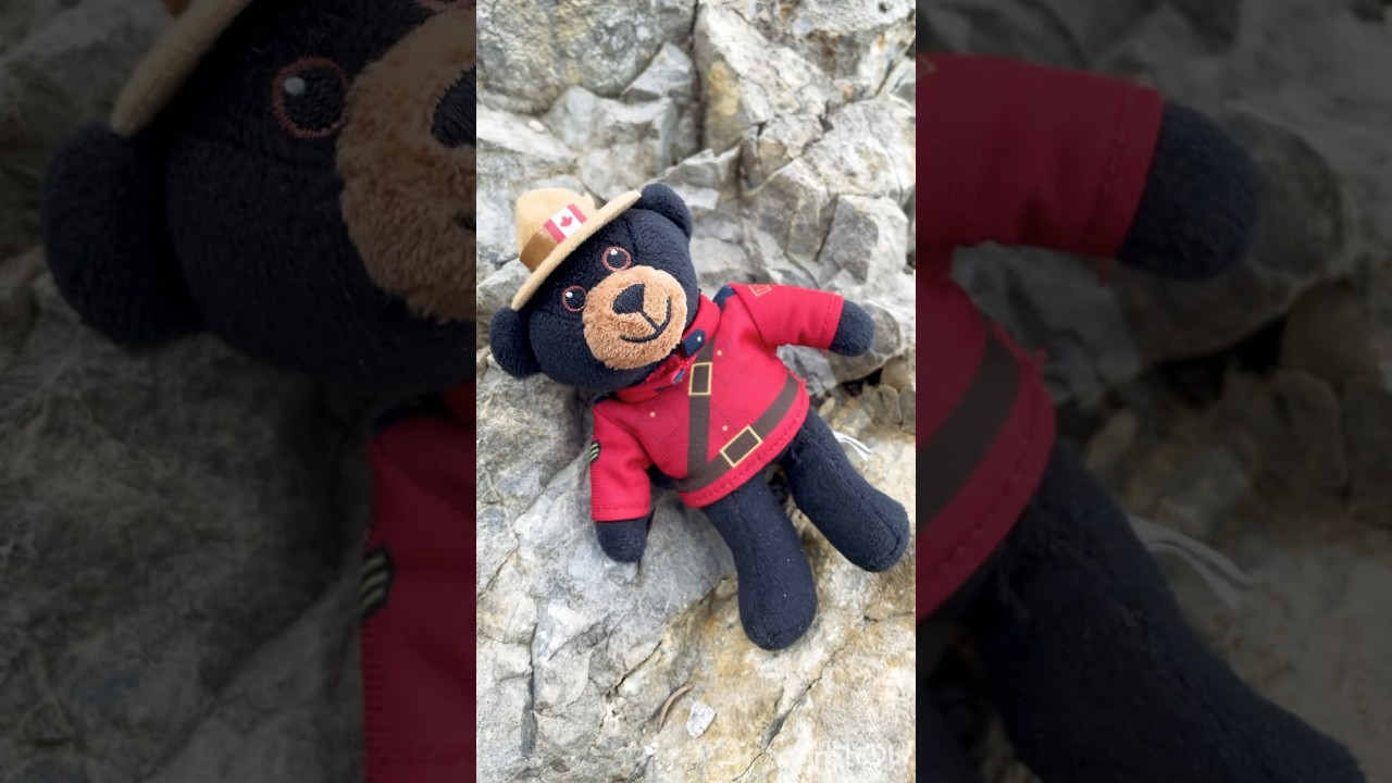 RCMP MOUNTIE BEAR ON CANADA DAY CELEBRATION #shorts