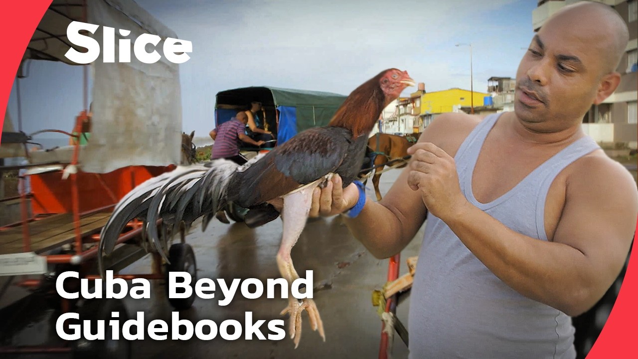 Baracoa: Cuba&rsquo;s Hidden Gem at the Edge of the World | SLICE