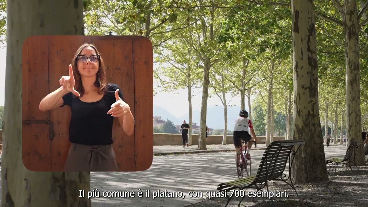 4 I viali alberati delle Mura di Lucca