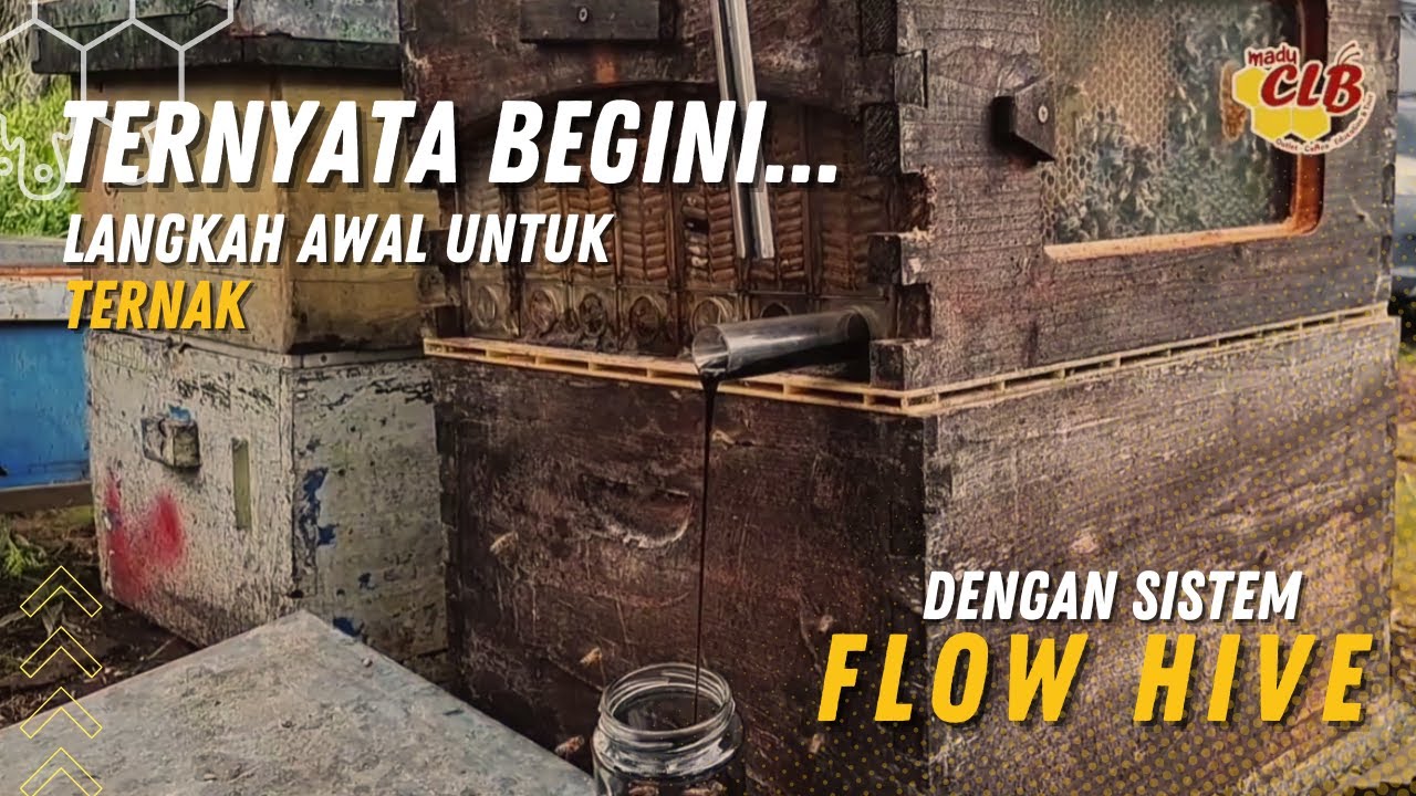 Tanya Jawab seputar Flow Hive Part2