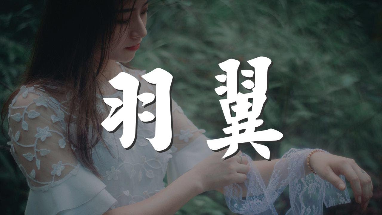 羽翼 - 三叔說『彩色的羽翼 被你的日月遮蔽』【動態歌詞Lyrics】