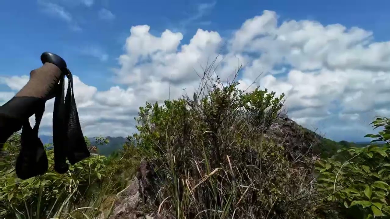 奇岩からの絶景　鹿嵐山～ねこ山2025 8 24