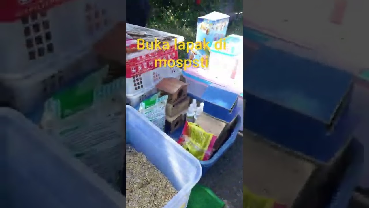 jual hamster banyak untung nya