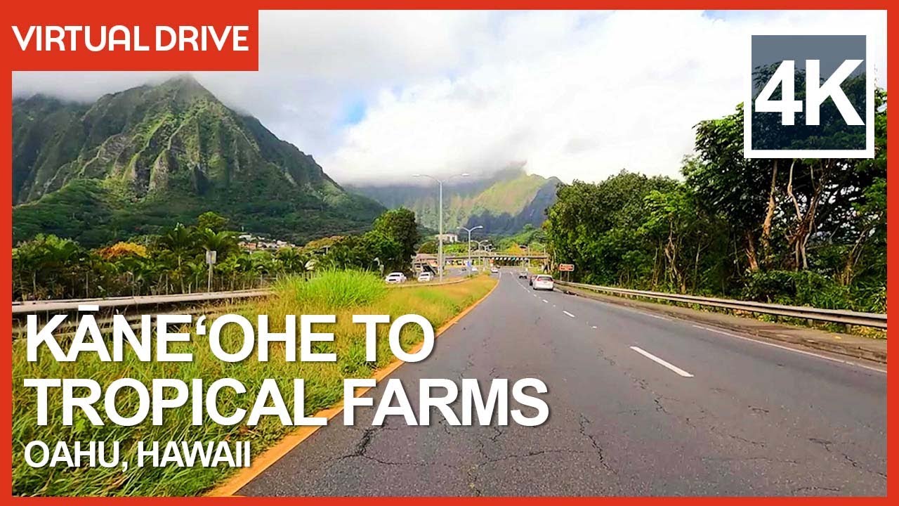 Kaneohe to Tropical Farms Macadamia Nuts Scenic Virtual Driving Tour - 4K Oahu, Hawaii Island Drive