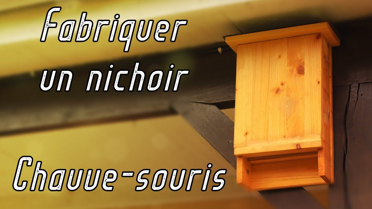 Fabriquer un nichoir pour Chauve-souris