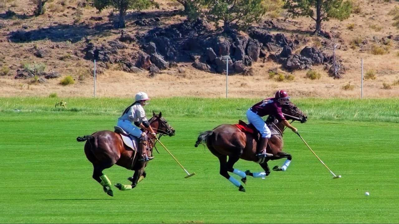 Why Kings, Horses, and Hollywood Love This 2,000-Year-Old Sport!#Polo #SportOfKings  #PoloHistory