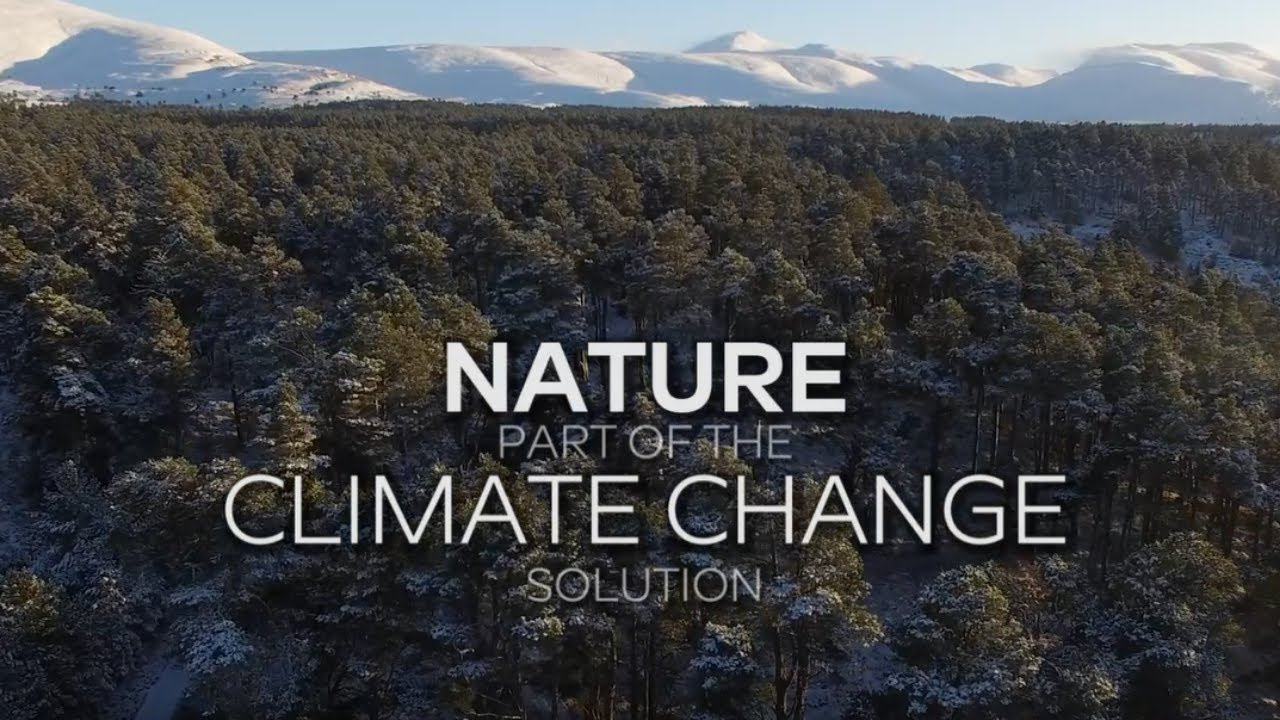 How is nature helping to fight climate change in Scotland?