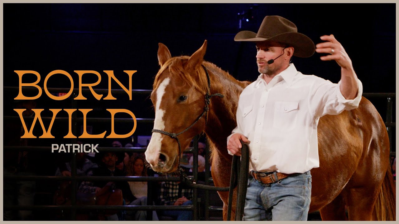 Patrick | Todd Pierce and Riding High Ministries