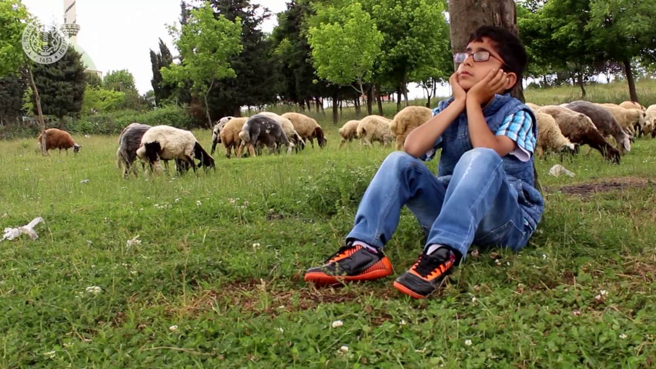 ADAR