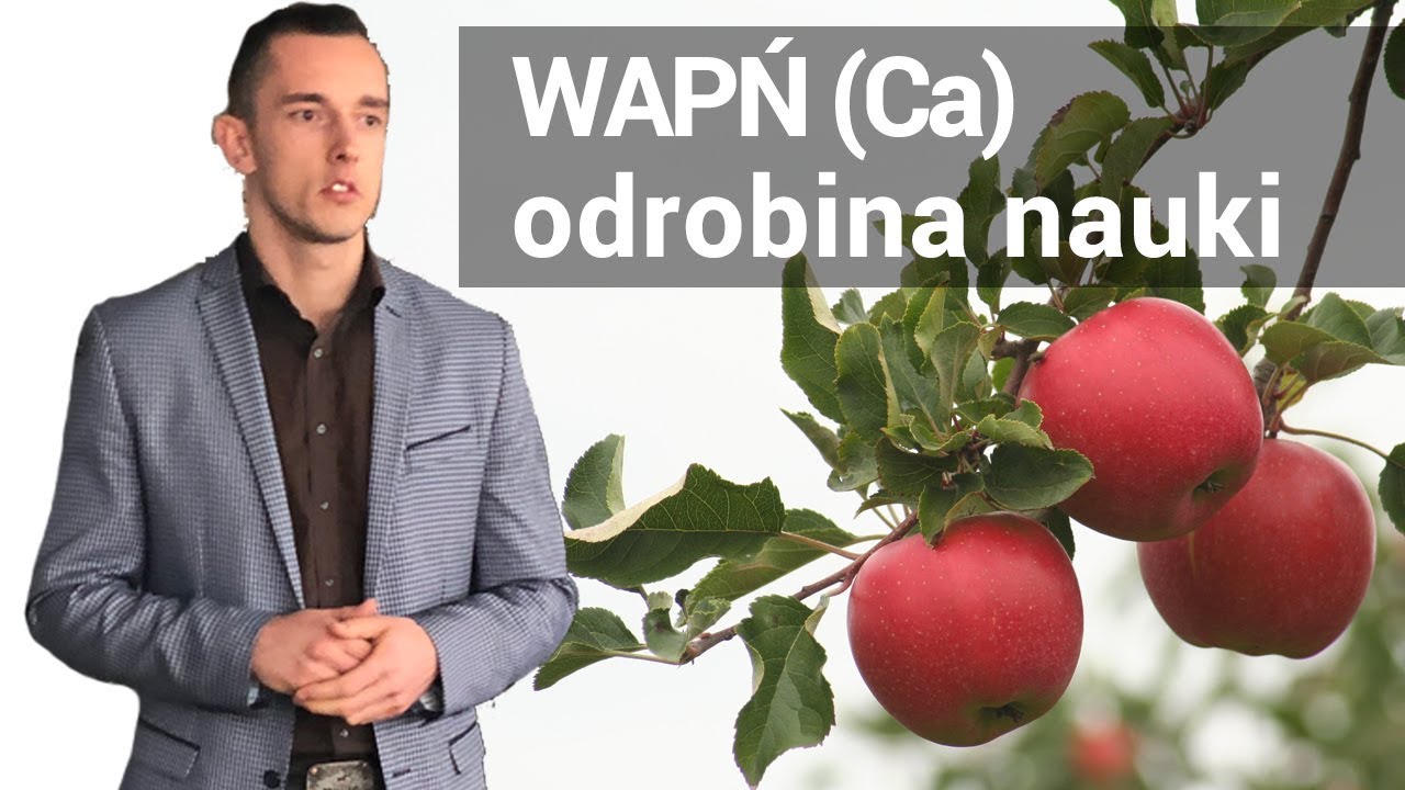 Wapń (Ca) - odrobina nauki [Dominik Poszywała]