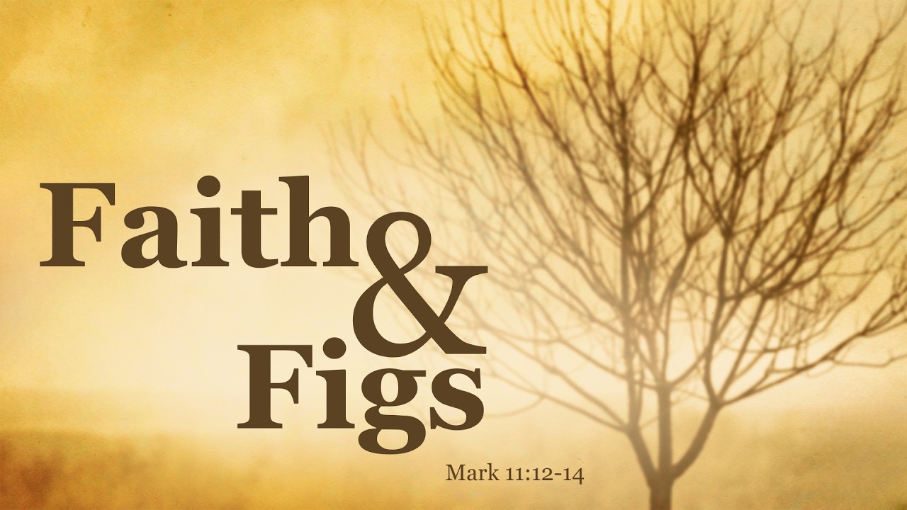 Faith and Figs