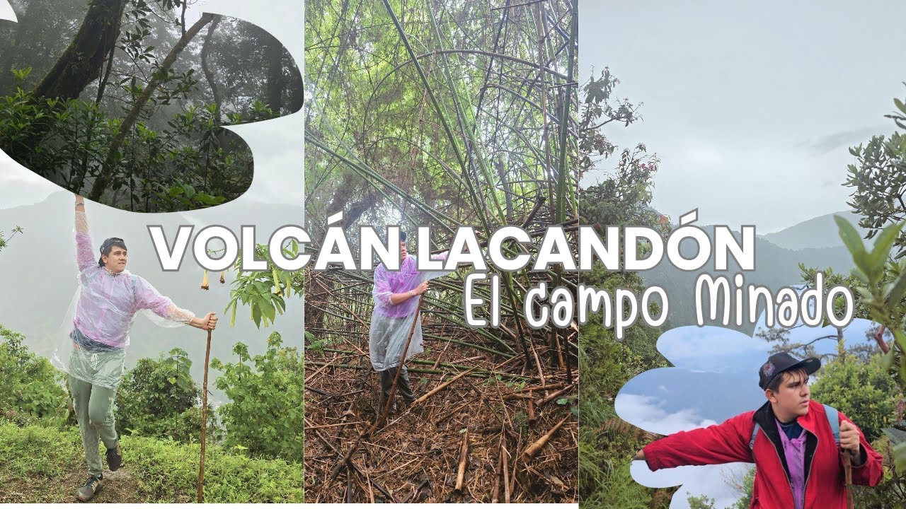 VOLCÁN LACANDÓN, El cerro minado...