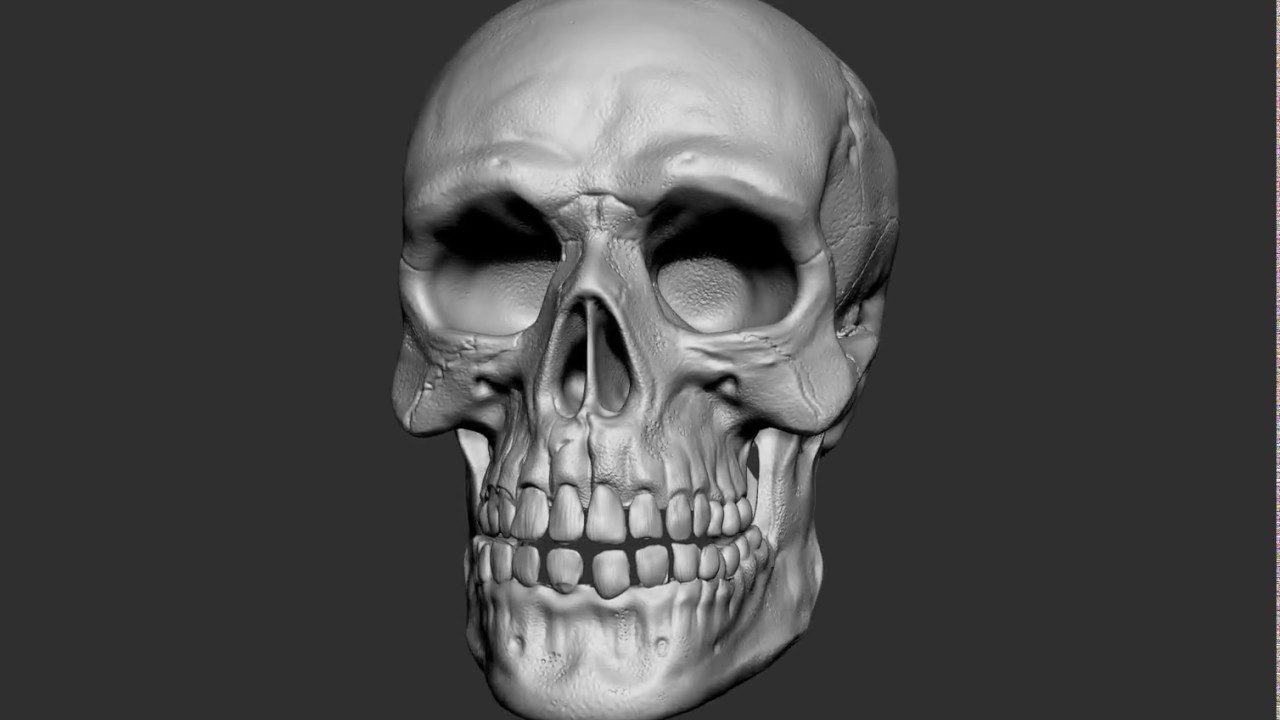 skull sketch in the ZBrush