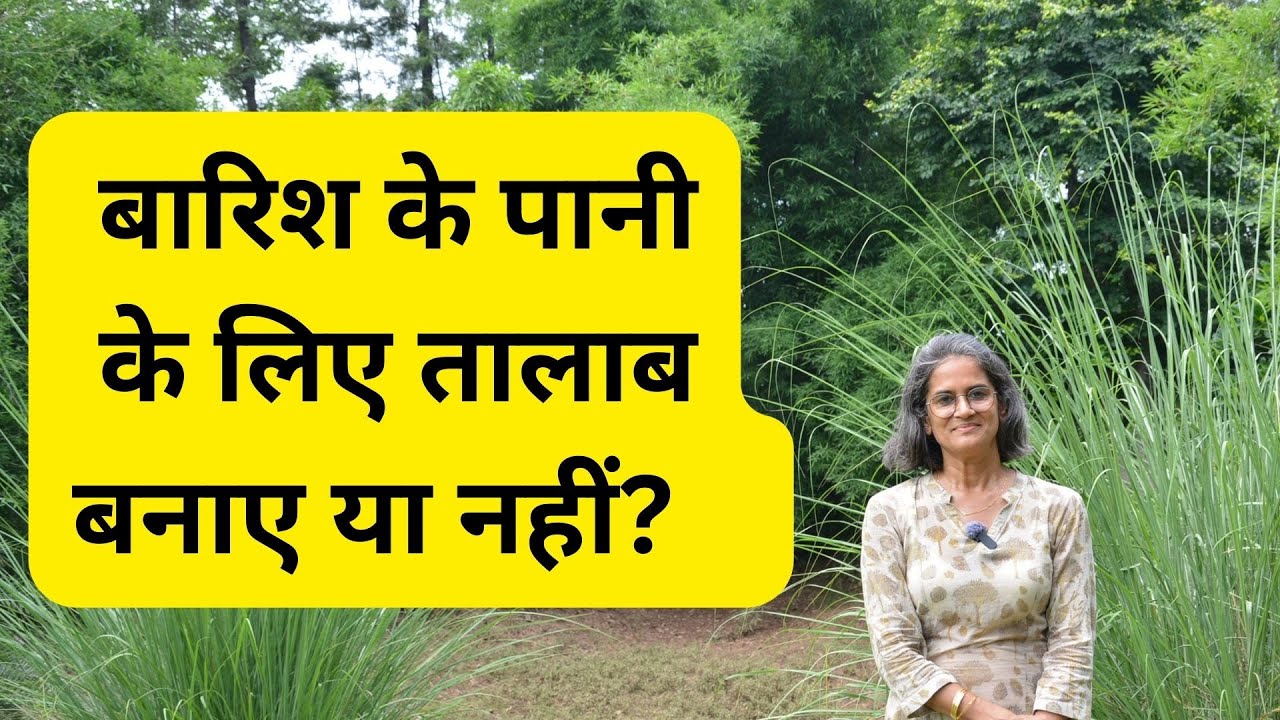 To make a pond or not? | बारिश के पानी के लिए तालाब बनाए?