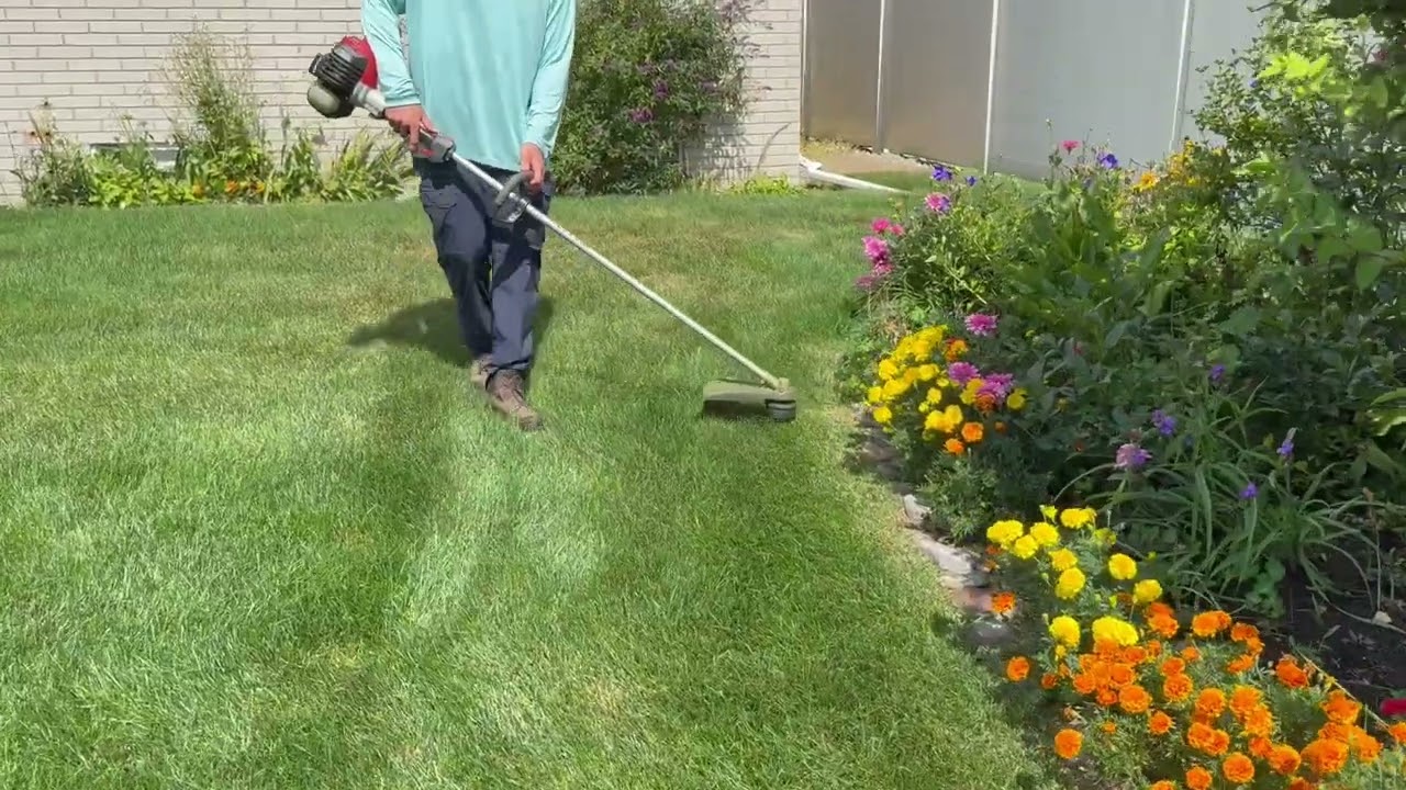 Trimming Lawns Professionally - The Most Efficient Way