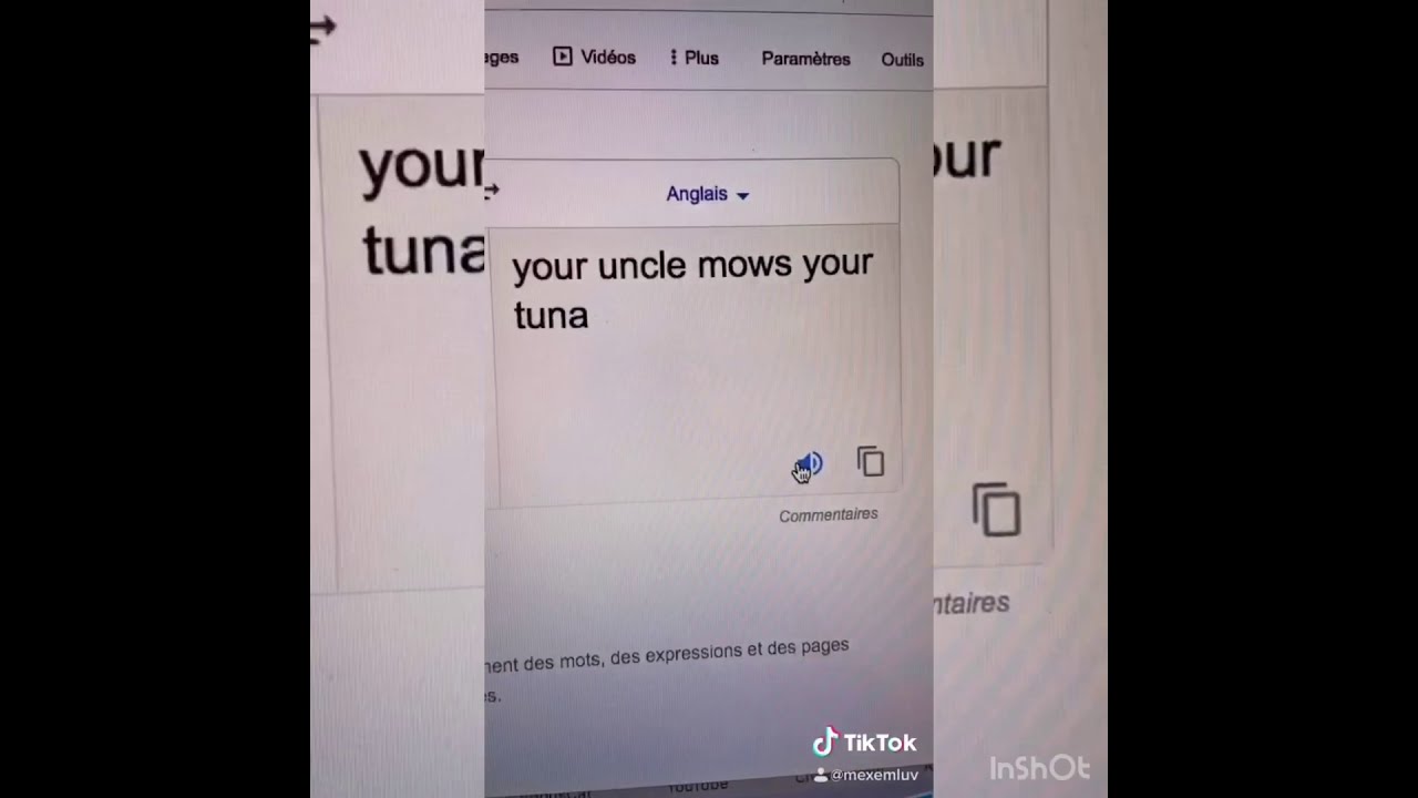 (compilation) ton tonton thon french google translate / your uncle mows your tuna viral