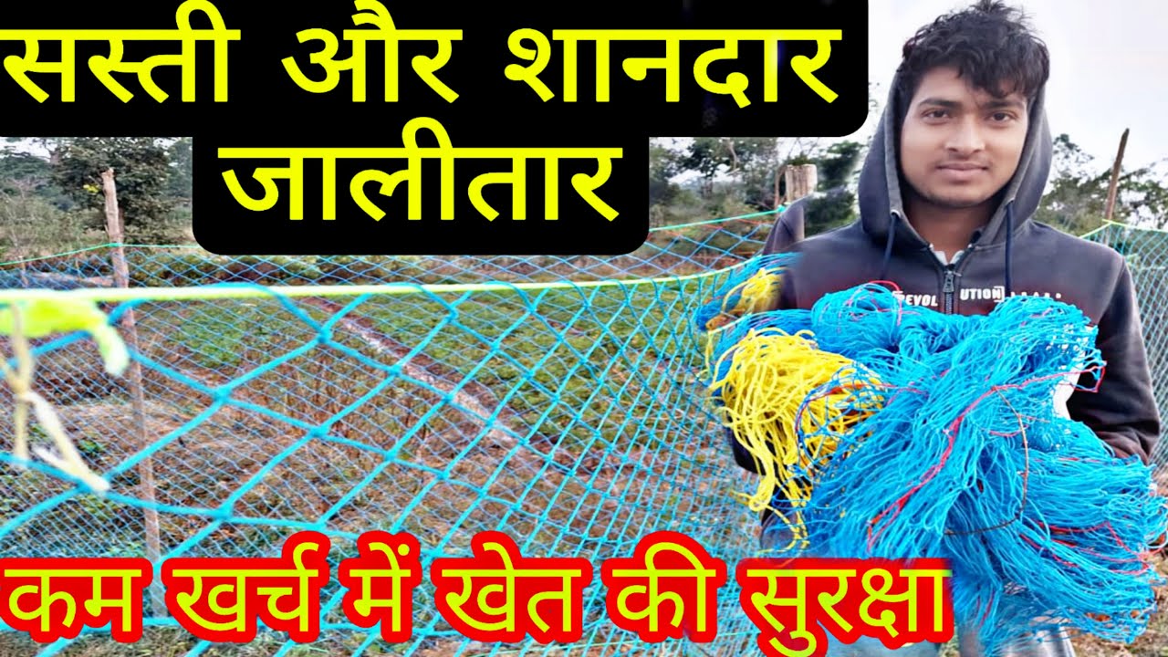 low cost fancing|सबसे सस्ती जाली तार|Khet me jali lagane ka kharcha|खेती की सुरक्षाJali kaise lagaye