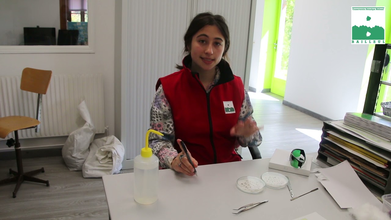Les tests de germination
