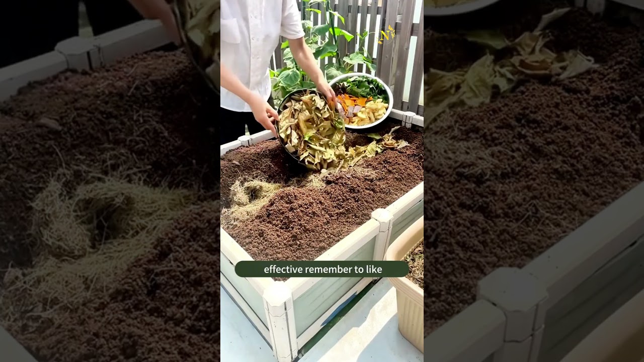 🌱Best Compost Soil Recipe Before Planting | Boost Plant Growth Naturally! 💪
