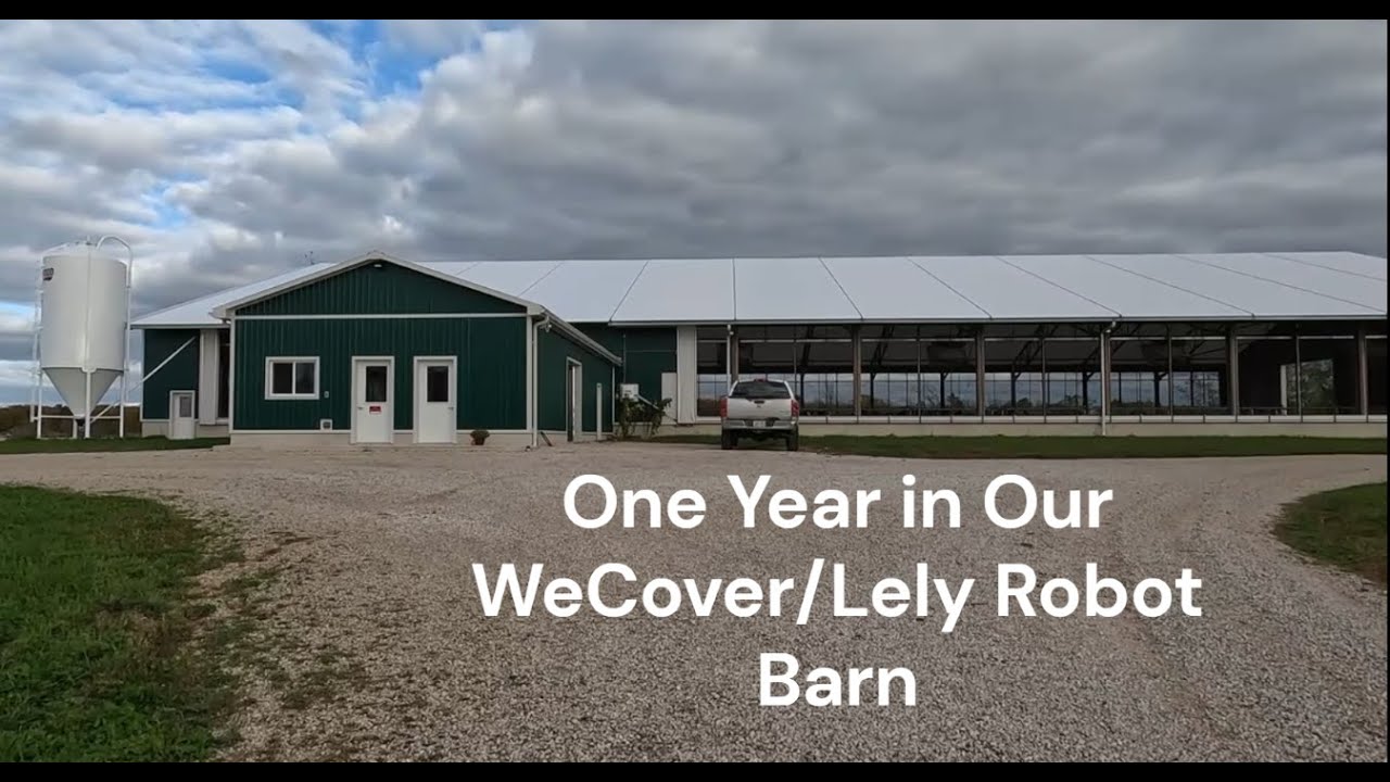Один год в нашем роботизированном коровнике WeCover/Lely