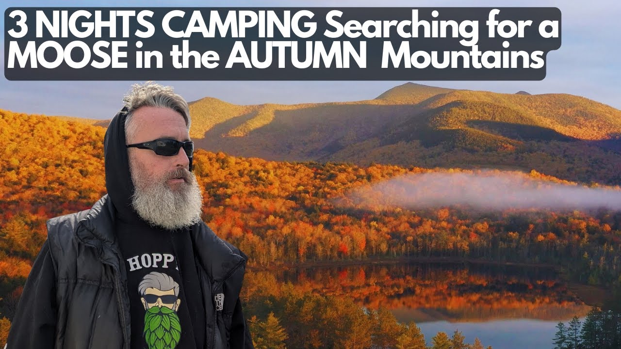 3 NIGHTS Camping and Searching for a MOOSE in the AUTUMN Mountains in PEAK Foliage! WATCH until END!