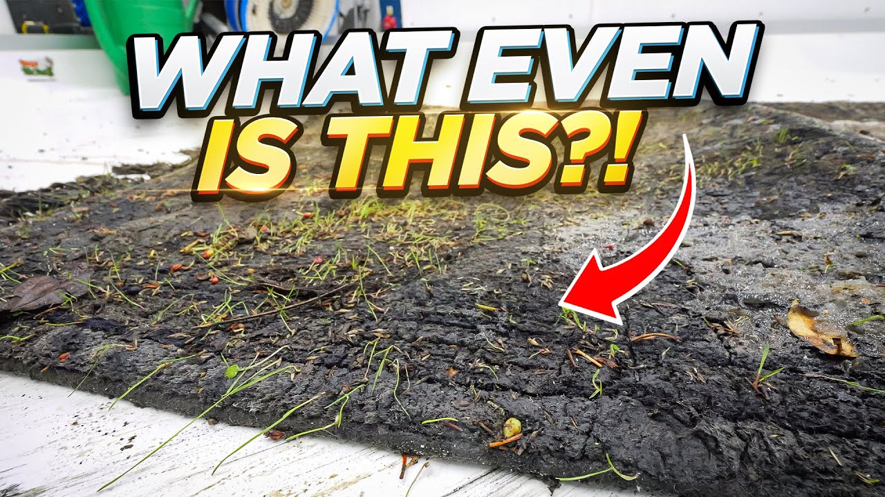 I Couldn't Believe How Much Dirt Kept Coming Out of This Rug 😳