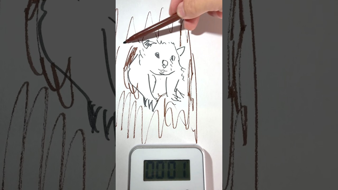 ASMR Drawing a Flying squirrel in 60s ✍️ Satisfying Marker Sounds #14c