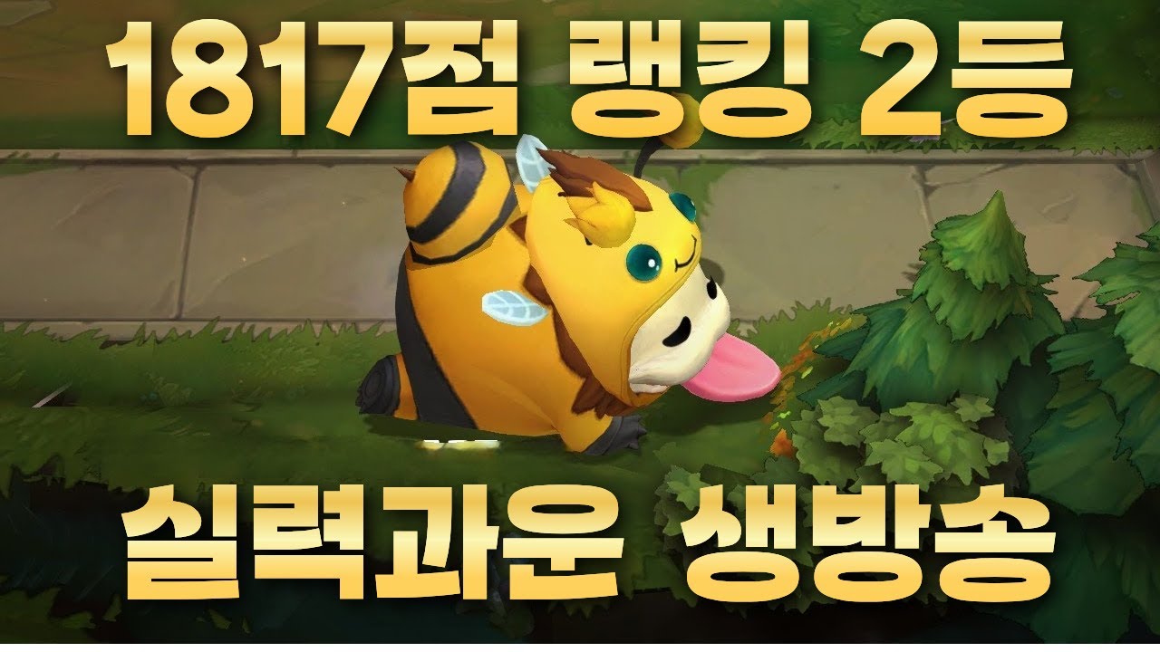 [롤체] 솔랭/스크림 무한 반복