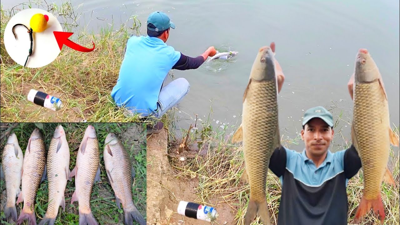Winter Feeder Fishing 🎣 Bottle Fishing Videos 🎣 Carp Fish Catching videos 🎣 Fishing Videos