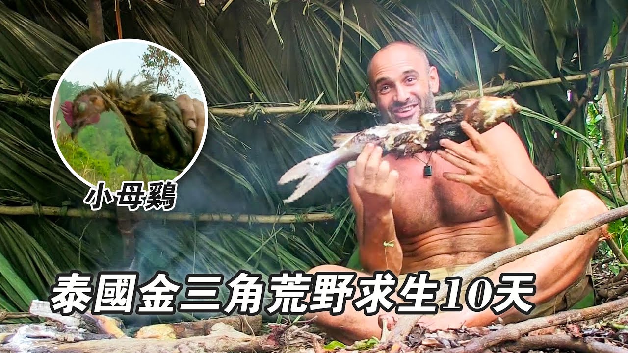 泰國金三角挑戰荒野求生，烹飪泰式咖哩雞肉，苦練徒手抓魚實現烤魚自由，原始雨林捕獲5斤鯰魚！紀錄片