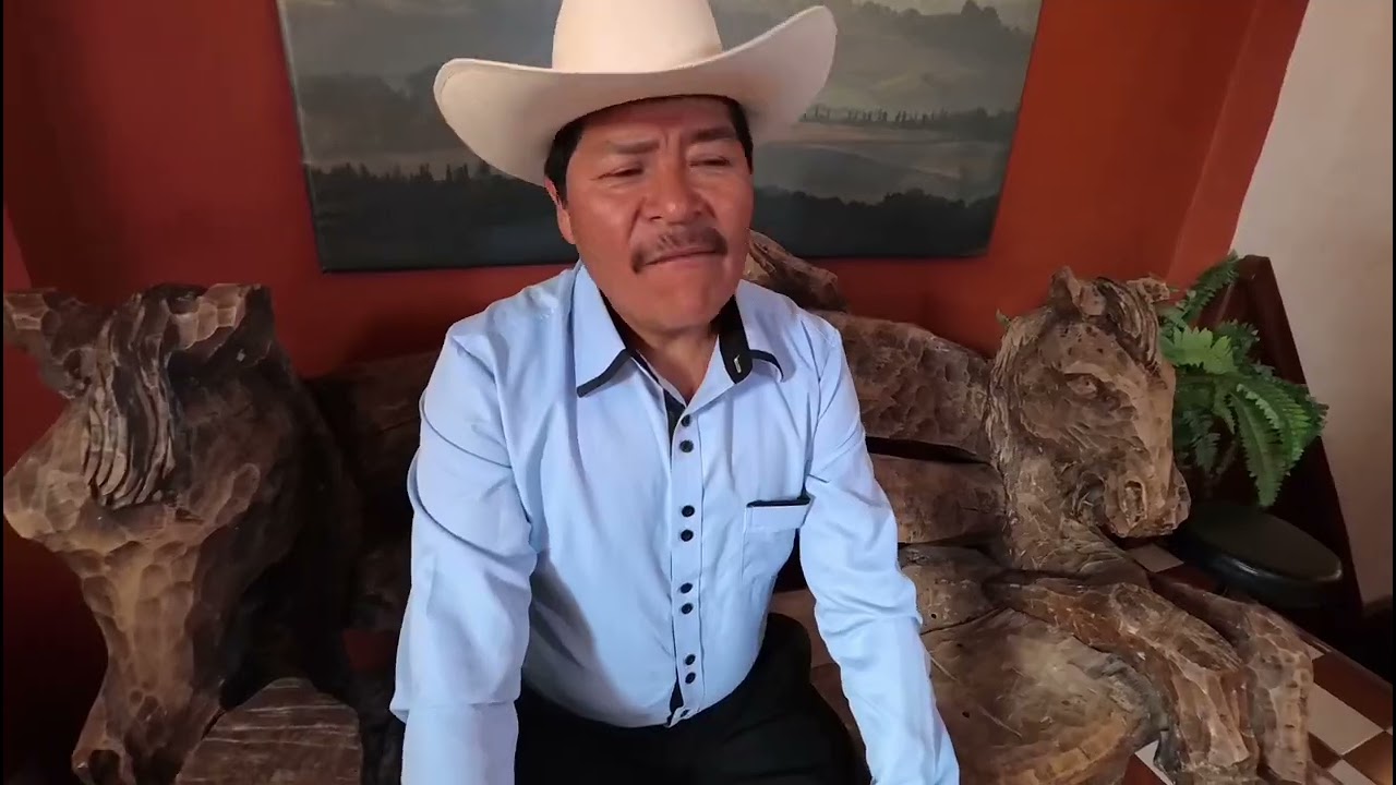 Ay amor - Zarpazo de Tigre