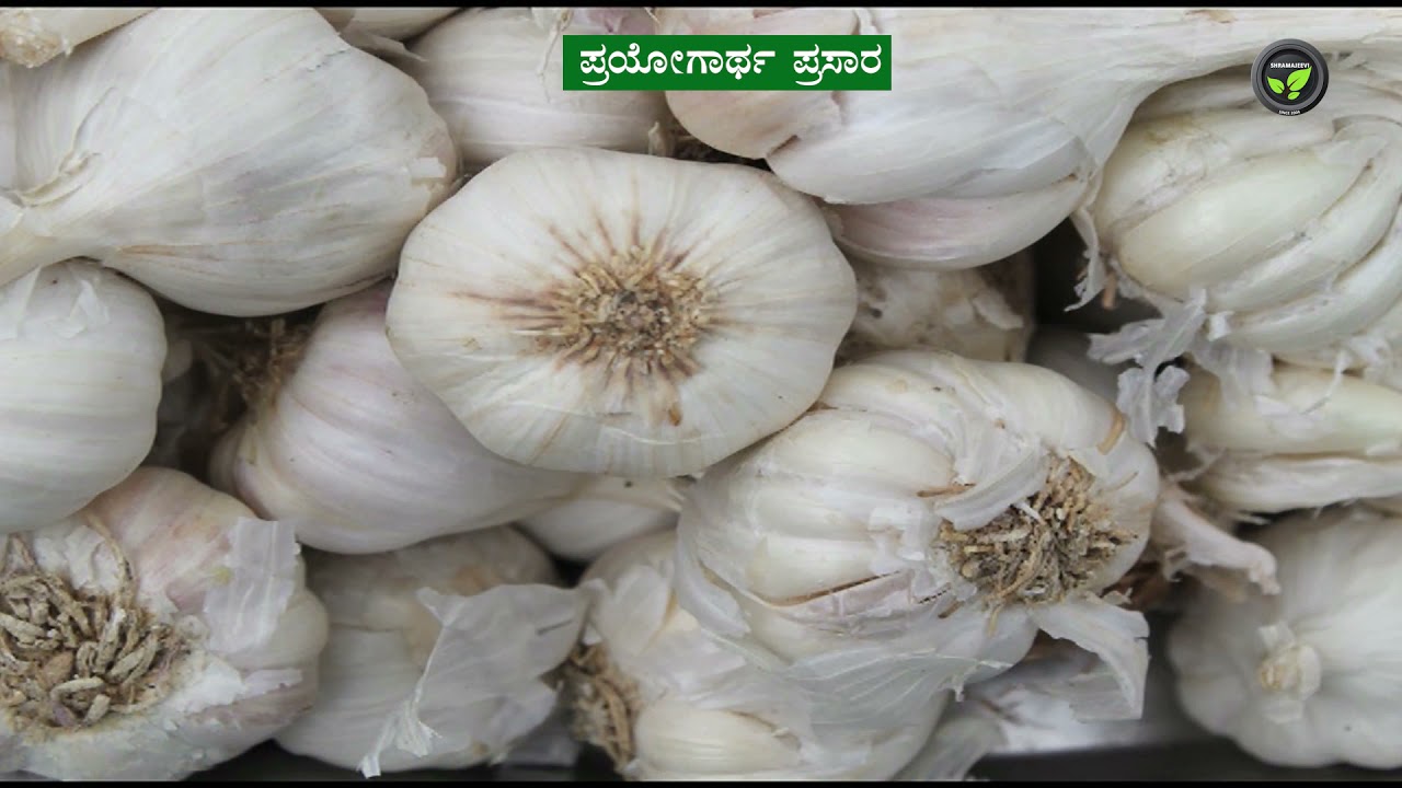 Shramajeevi TV Promo