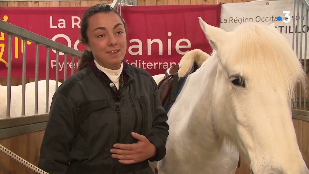 Salon de l'agriculture : la Camargue, une curiosité verte où le cheval et le taureau sont rois
