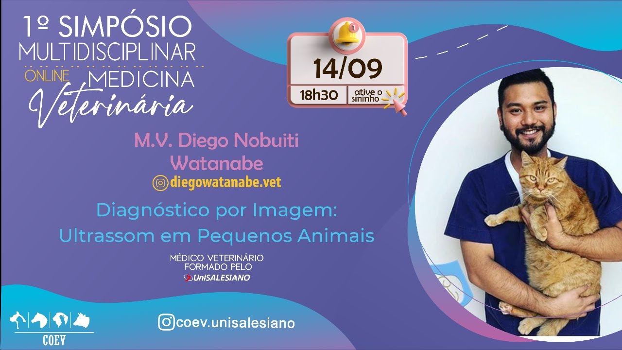 Diagnóstico por Imagem: Ultrassom em Pequenos Animais