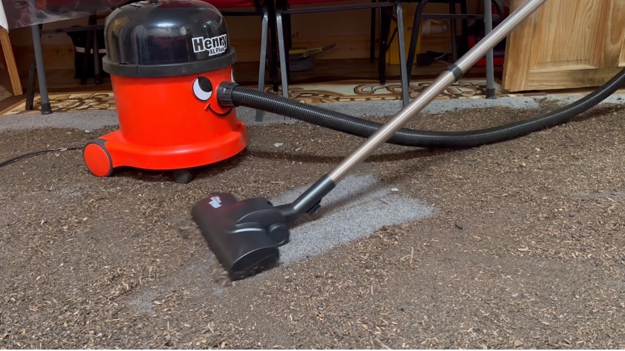 Let’s test out my new Henry XL Plus vacuum cleaner!