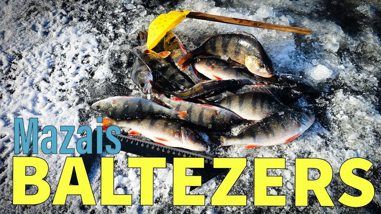 M.Baltezers ziemā.