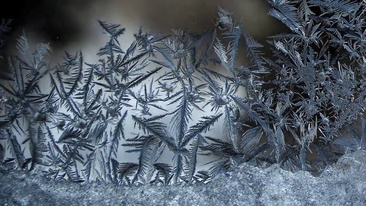 Unknown Reality - Winterdays