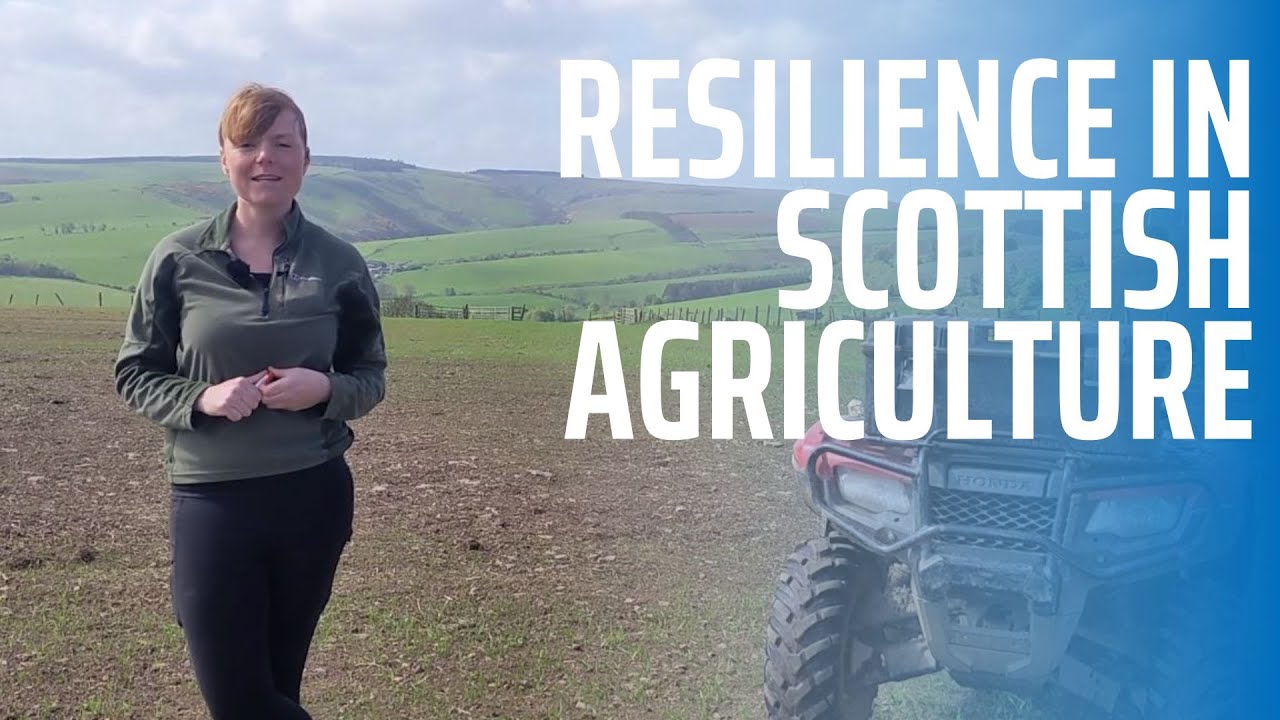 Introducing the Resilience Vlogs