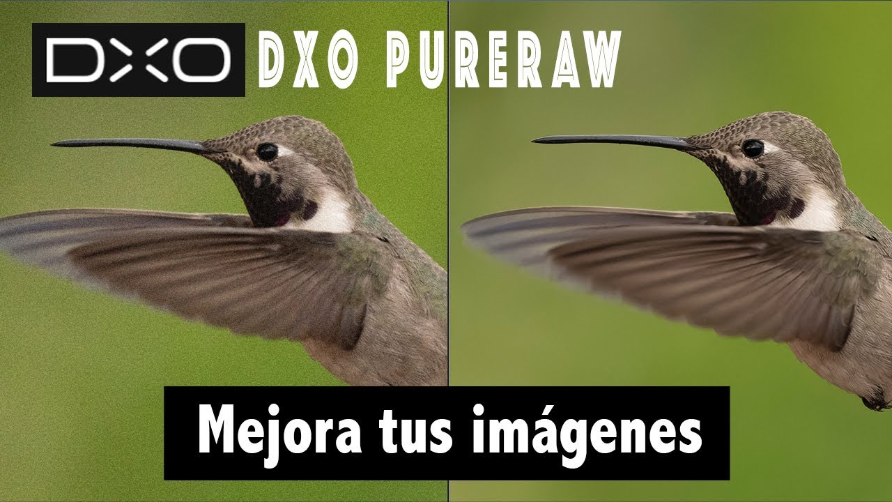DXO Pure Raw - mejorando tus archivos RAW