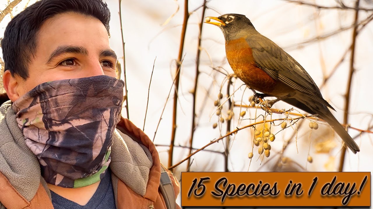 Bird Photography in New Mexico, 15 species in 1 day!
