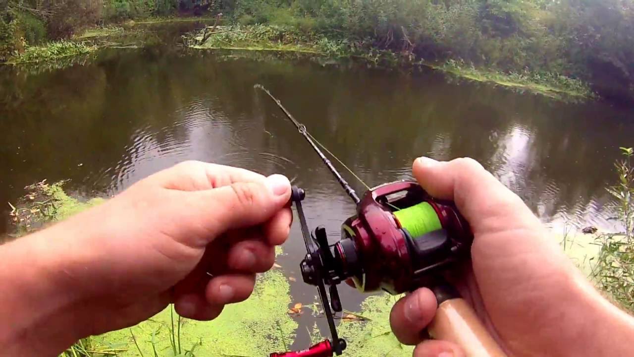 JACKSON KAWASEMI 3114 + SHIMANO SCORPION ХT 1001