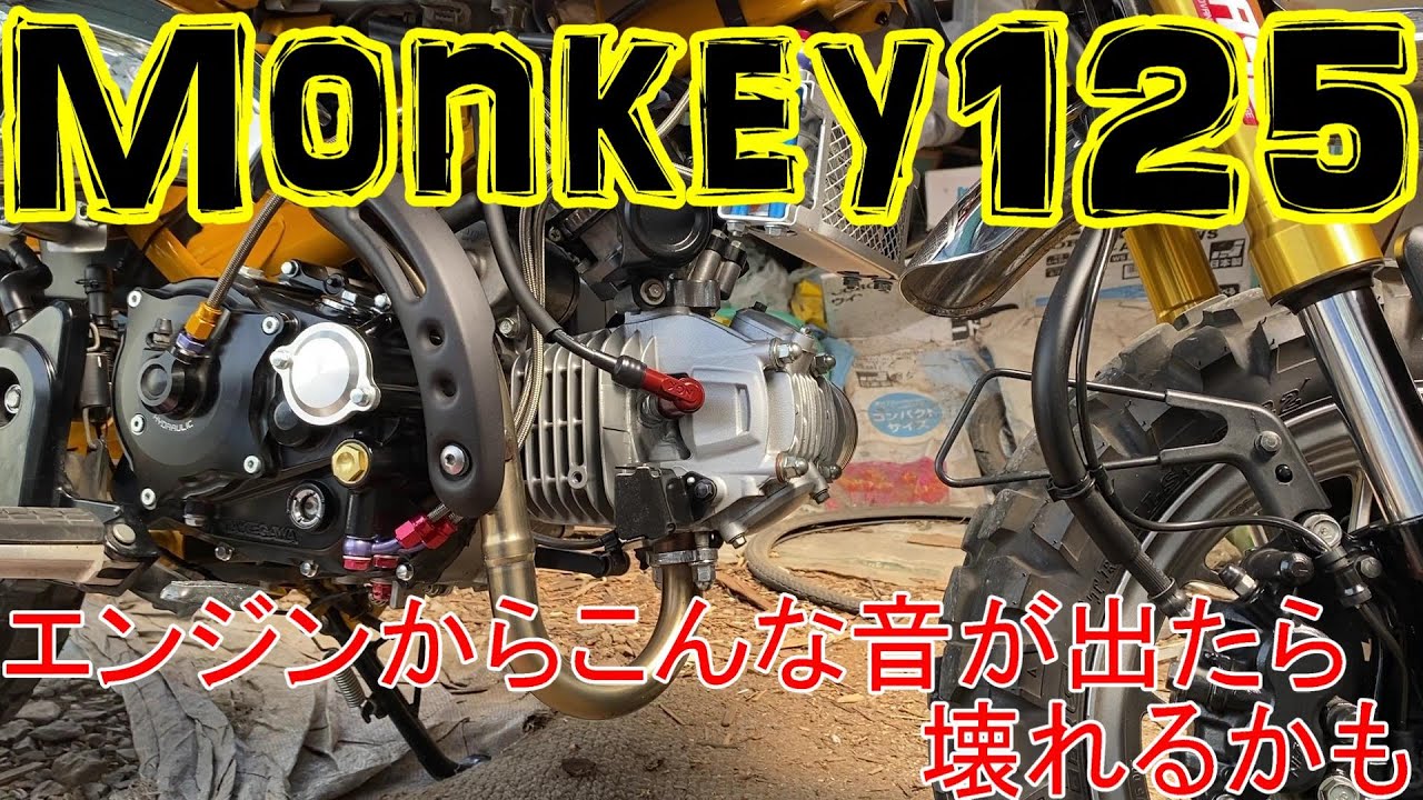 【モンキー125 Monkey125】ノッキング対策を始めました