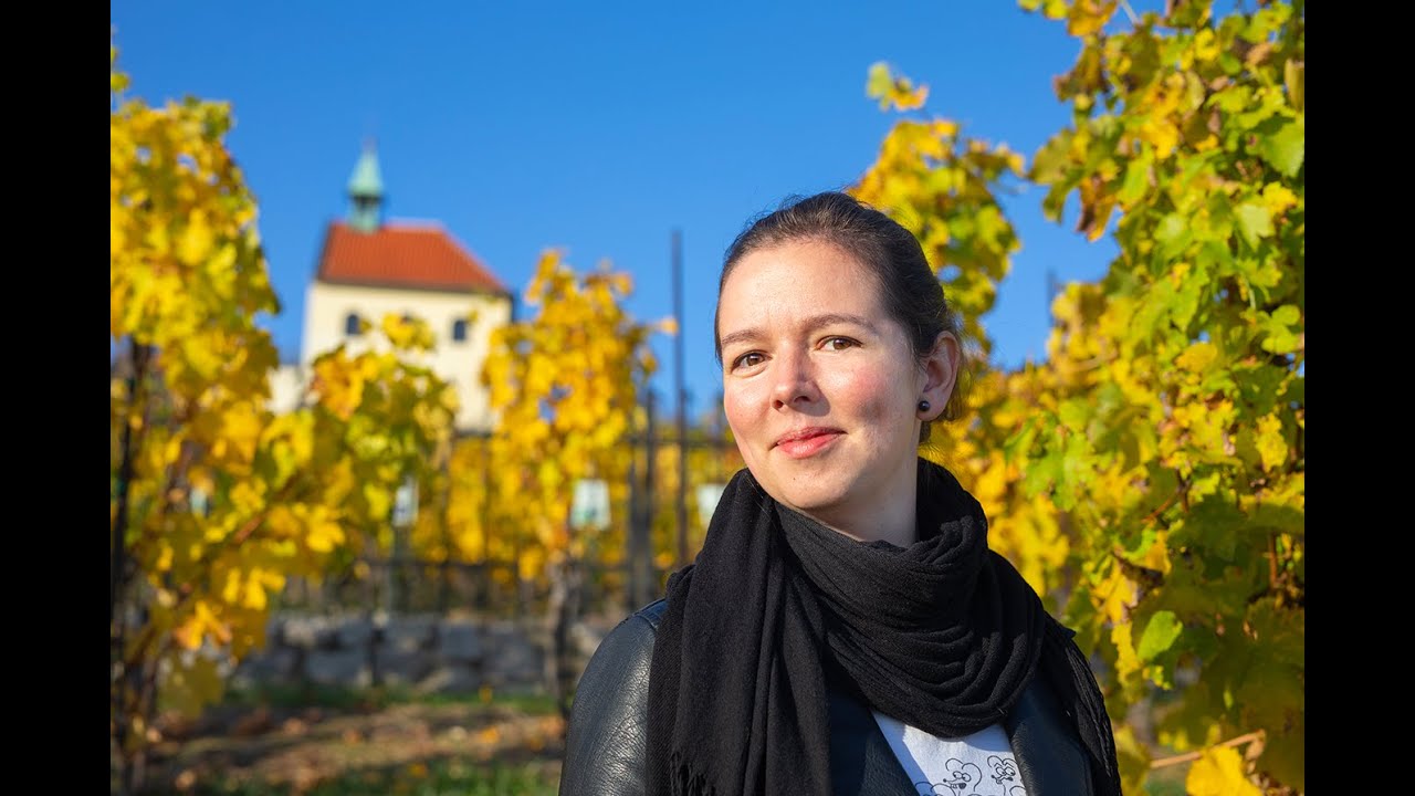 10 ot&aacute;zek z vinice sv. Kl&aacute;ry