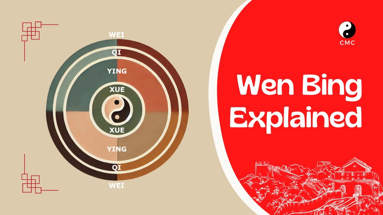 Understanding Wen Bing: the four levels of Warm disease in TCM