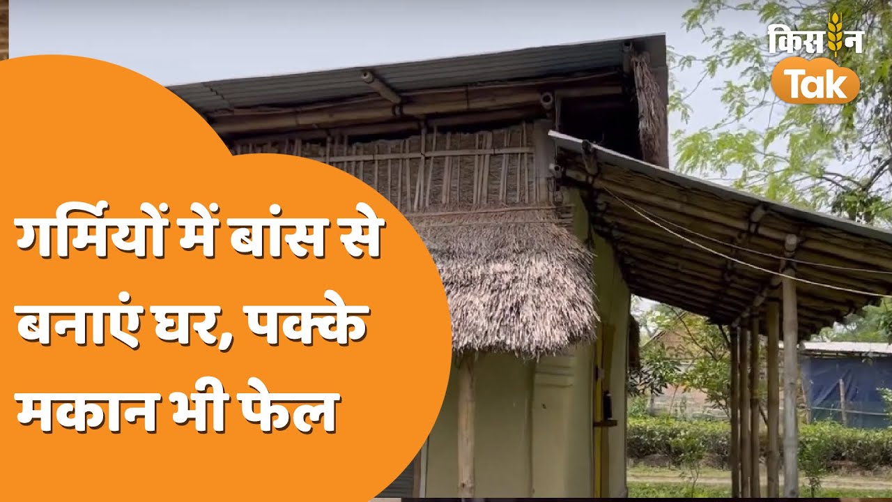 Bamboo House: कम खर्च में तैयार करें बांस से घर,  60-70 साल तक भी नहीं होंगे खराब   | Kisan Tak