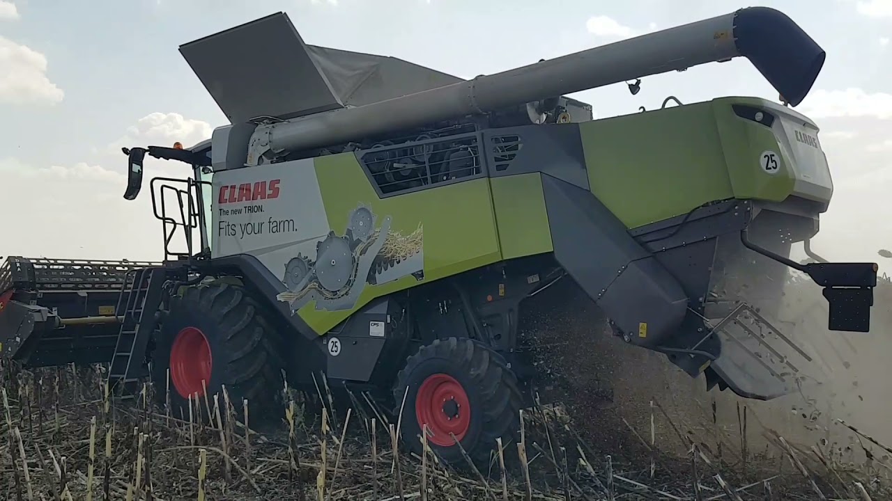 Punere in functiune CLAAS TRION 650 si heder Olimac Drago 2!