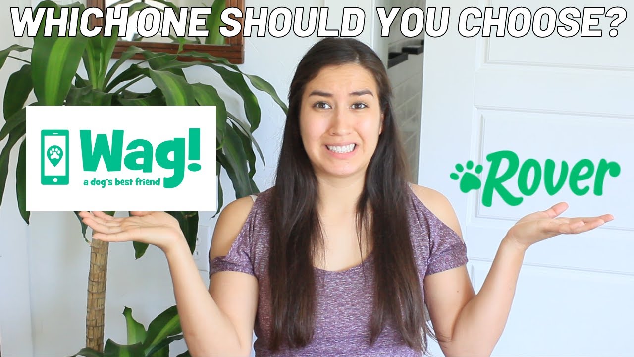 WAG! VS ROVER | ADVICE FOR WALKERS + CLIENTS